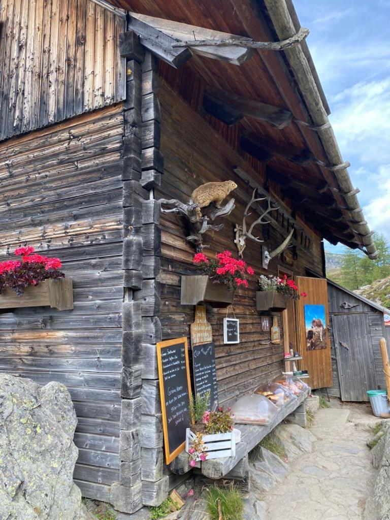 Nocky Mountains Lodge And Apartment Radenthein Zewnętrze zdjęcie