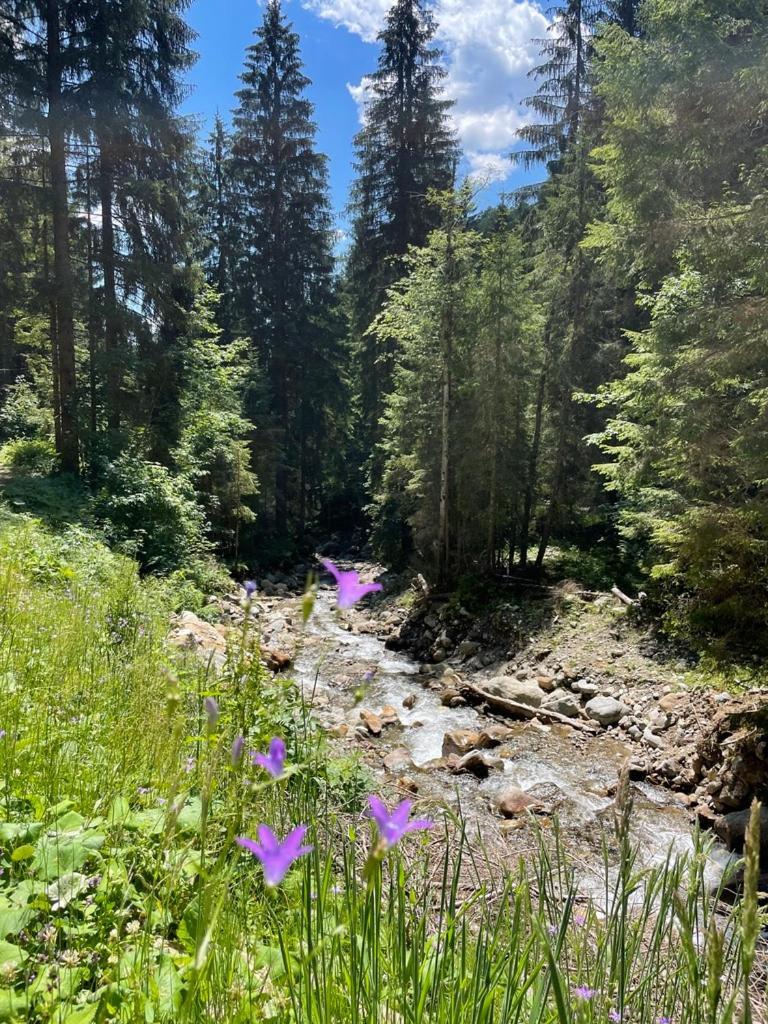 Nocky Mountains Lodge And Apartment Radenthein Zewnętrze zdjęcie